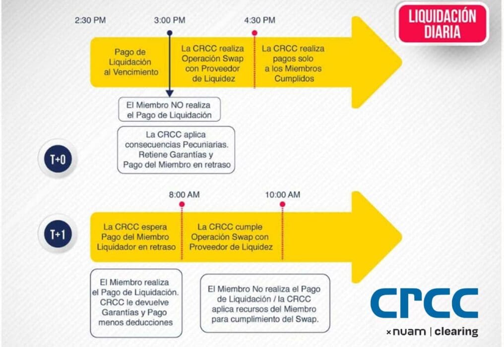 LIQUIDACION-DIARIA-OK-2020 LIQUIDACION-DIARIA-OK-2020