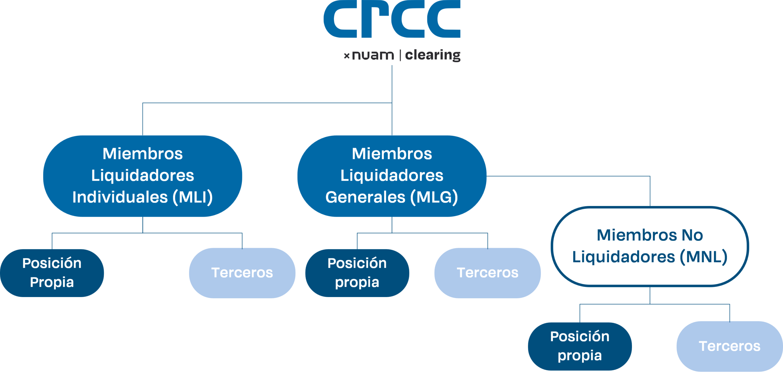 estructura de miembros